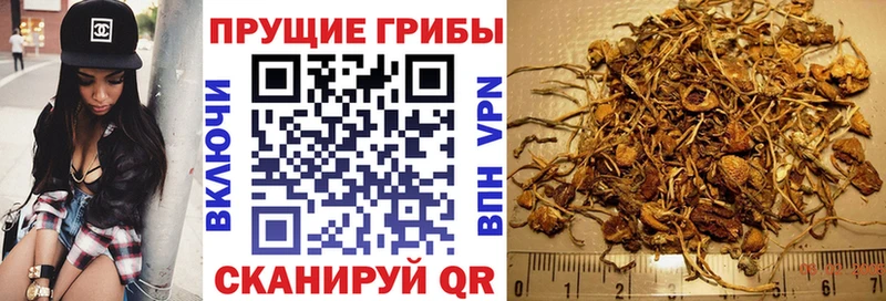 дарнет шоп  OMG сайт  Галлюциногенные грибы GOLDEN TEACHER  мориарти наркотические препараты  Воркута 